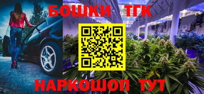 ешки Партизанск