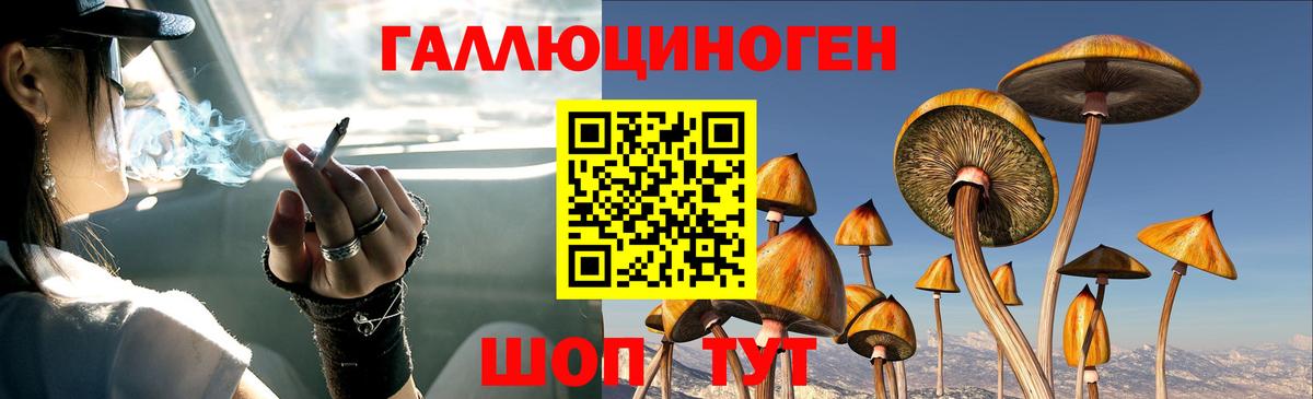 Стрежевой  Псилоцибиновые грибы MAGIC MUSHROOMS  Галлюциногенные грибы Magic Shrooms  Вход с VPN 